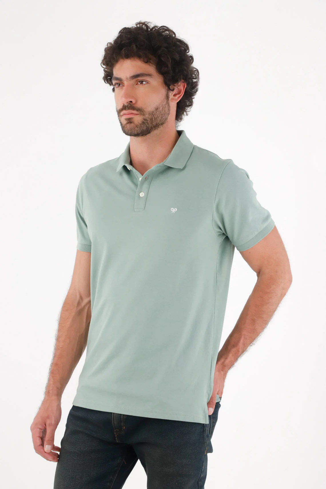 Men's Polo in Sage Green Cotton Regular Fit with Embroidered Logo - Image 4