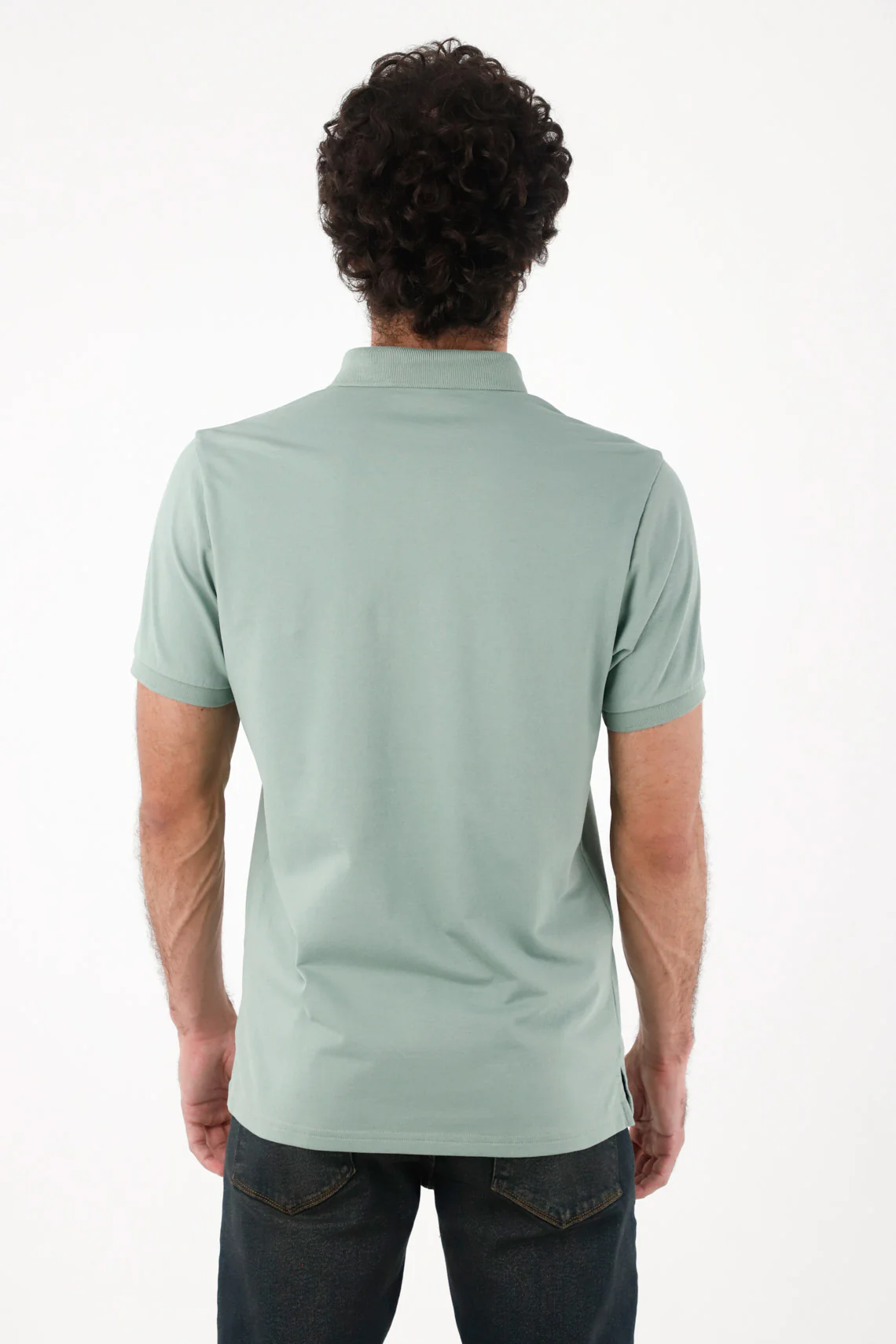 Men's Polo in Sage Green Cotton Regular Fit with Embroidered Logo - Image 5
